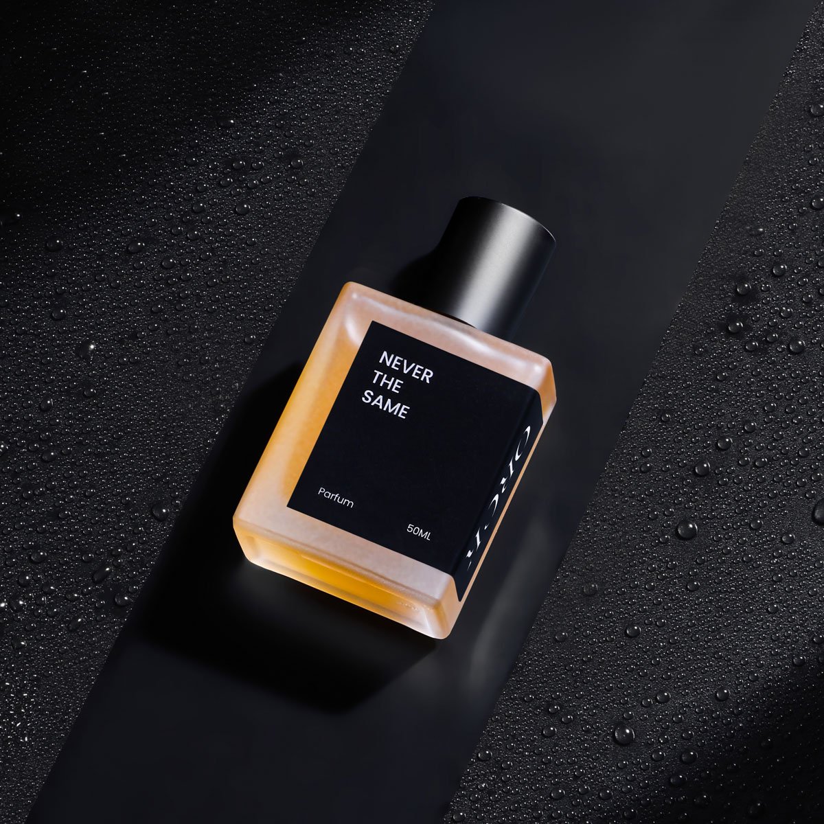 Never the Same - Prada Paradoxe