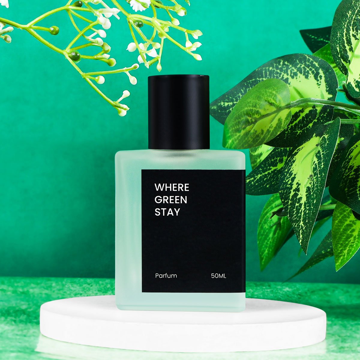 Where Green Stay - Cactus Garden