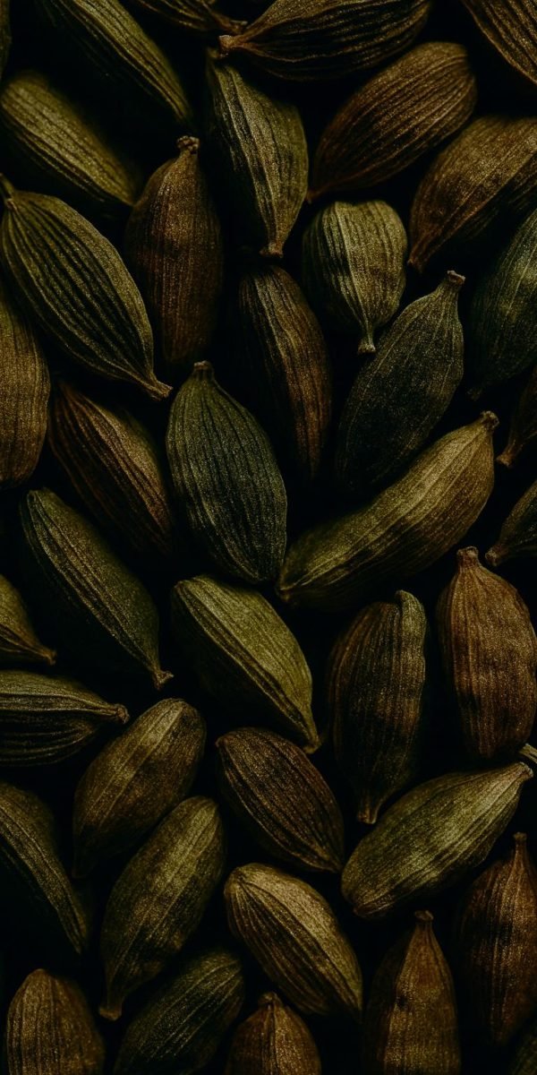 cardamom_heart_notes_v2